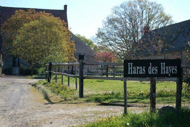 Gite Du Haras Des Hayes Tresson Exterior foto