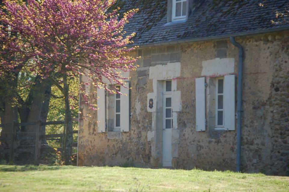 Gite Du Haras Des Hayes Tresson Exterior foto